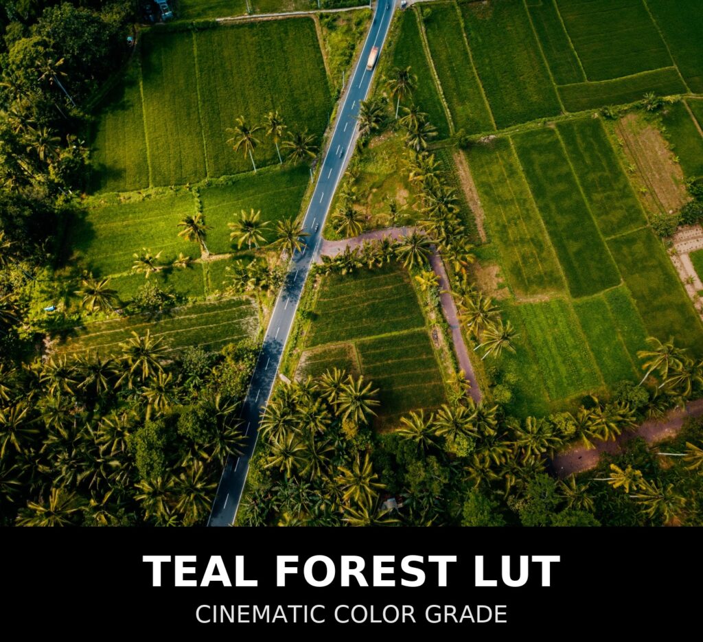 ntg universal “teal forest” lut (33 point .cube)