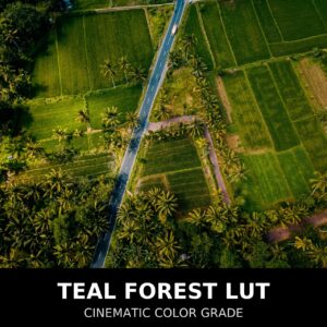 ntg universal “teal forest” lut (33 point .cube)